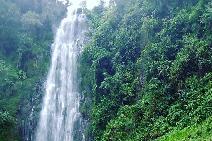 Hike to Marangu Waterfalls at Kilimanjaro's Foothills