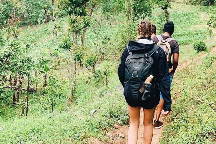 Hike to Marangu Waterfalls at Kilimanjaro's Foothills photo 6