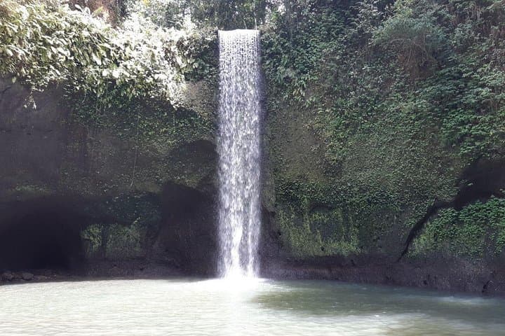 Banyumala Instagram Waterfall Private Tour — Wanagiri Hidden Hills Day Trip photo 2