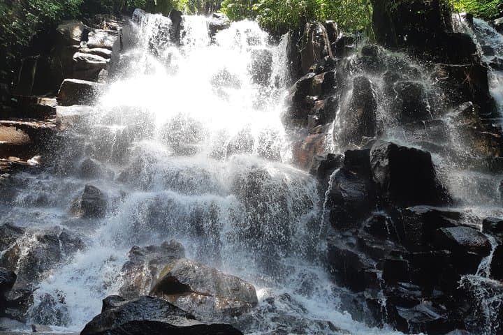Banyumala Instagram Waterfall Private Tour — Wanagiri Hidden Hills Day Trip photo 5