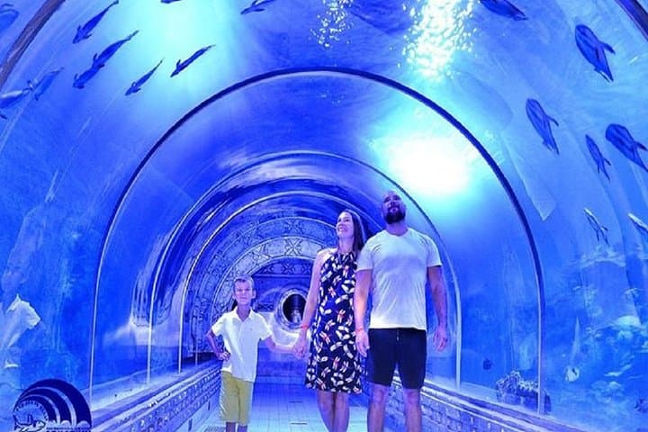 Private 5-Night Cairo & Hurghada Tour — Pyramids, Egyptian Museum & Red Sea Snorkel
