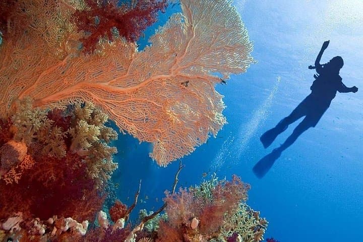 Private 4-Night Cairo to Sharm El Sheikh: Pyramids, Red Sea & Ras Mohamed photo 4