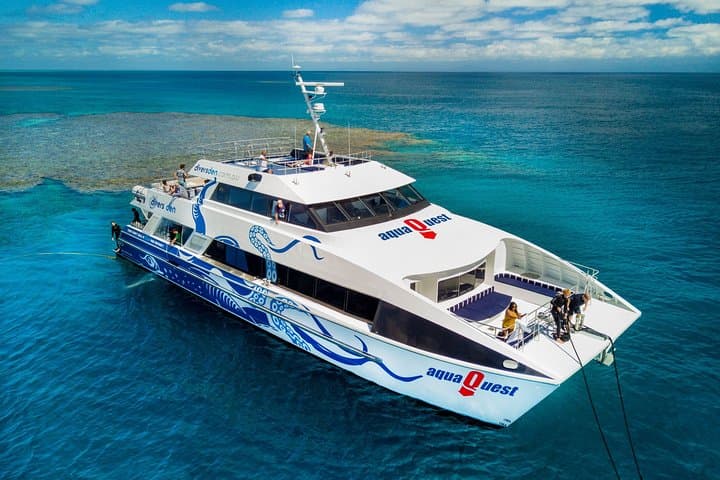 Great Barrier Reef Full-Day Snorkel and Dive Tour from Cairns photo 5