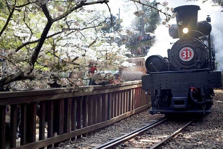 3-Day Taiwan History & Alishan Nature Private Tour from Taipei photo 1