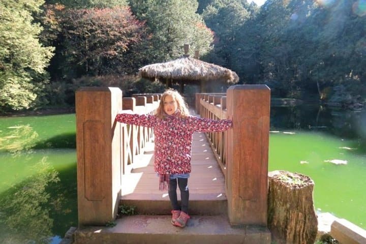3-Day Taiwan History & Alishan Nature Private Tour from Taipei photo 4