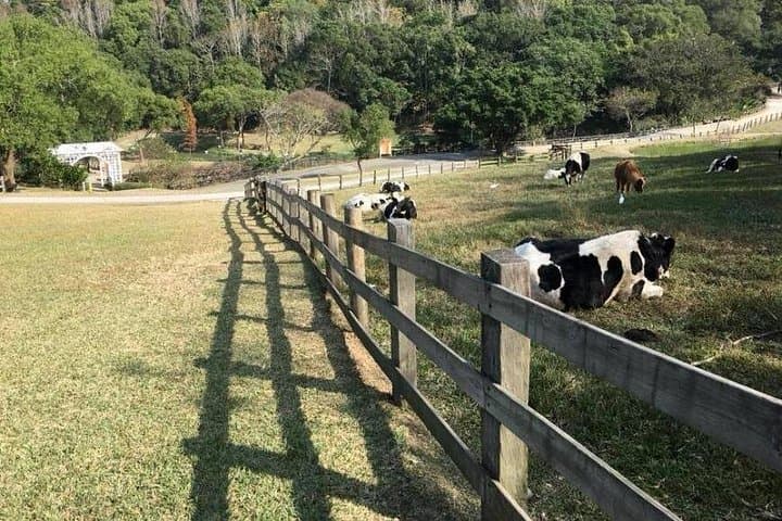 5-Day Taiwan Family Adventure: Sun Moon Lake, Cingjing & Coastal Highlights photo 4
