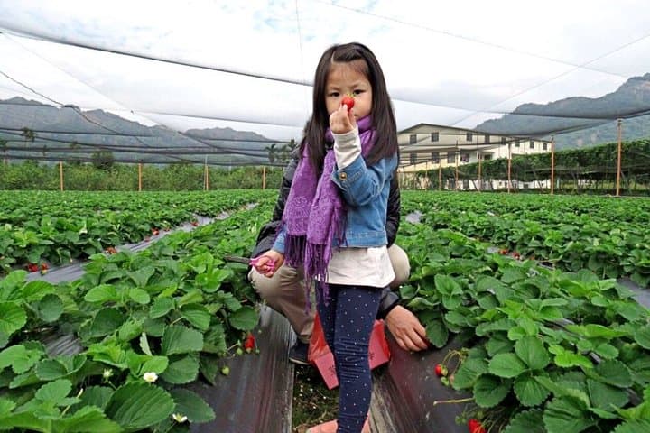 5-Day Taiwan Family Adventure: Sun Moon Lake, Cingjing & Coastal Highlights photo 3
