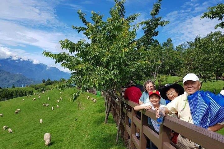 5-Day Taiwan Family Adventure: Sun Moon Lake, Cingjing & Coastal Highlights photo 1