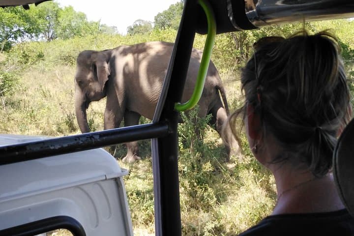 Explore Beautiful Sri Lanka: 8-Day Private Cultural, Mountain & Wildlife Tour photo 4