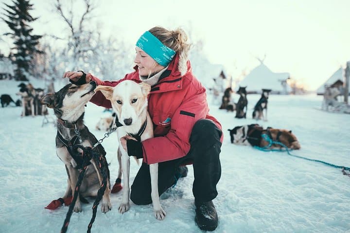 Drive Your Own Husky Sled in Tromsø: Self-Drive Arctic Adventure with Lavvu Cake photo 4