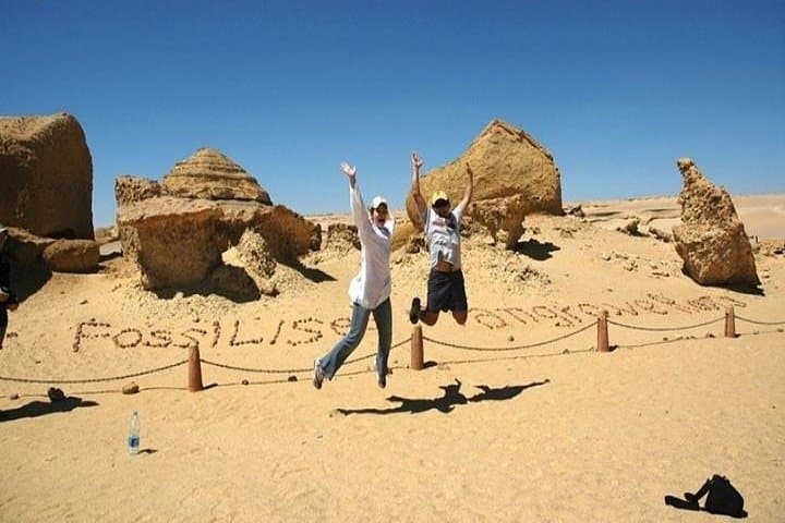 El Fayoum Day Tour from Cairo — Wadi Hitan, Waterfalls & Medinet Madi photo 1