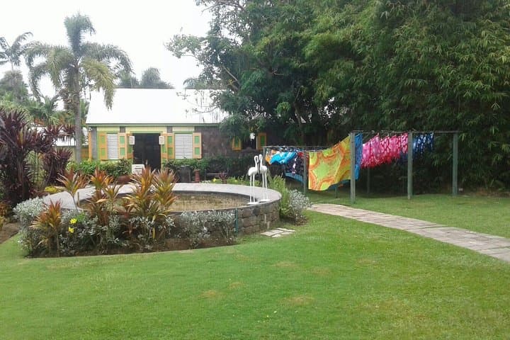 Discover St Kitts: Basseterre, Timothy Hill & Romney Manor Day Tour photo 4