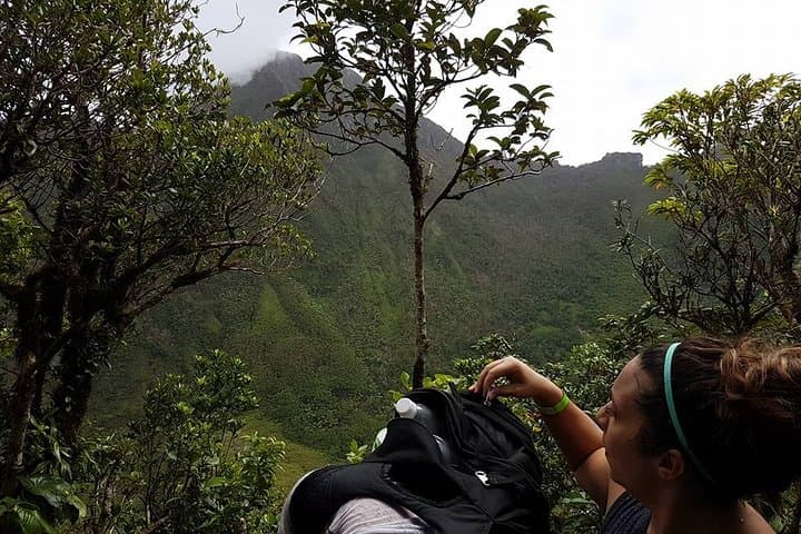 Mount Liamuiga Volcano Hike: St Kitts Crater Trek photo 5