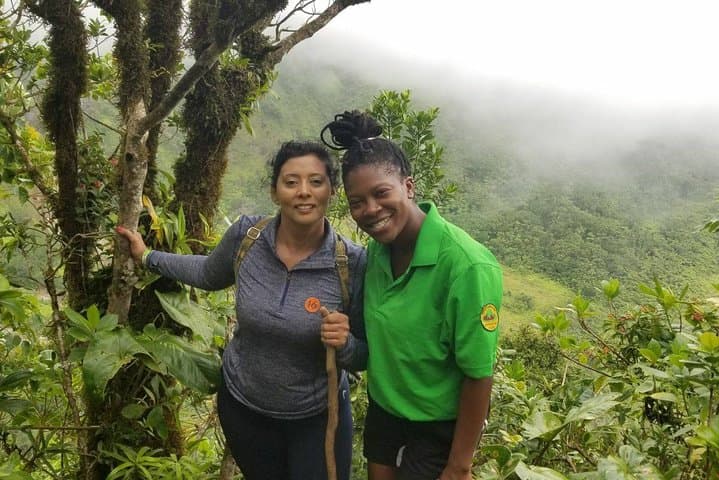Mount Liamuiga Volcano Hike: St Kitts Crater Trek photo 6