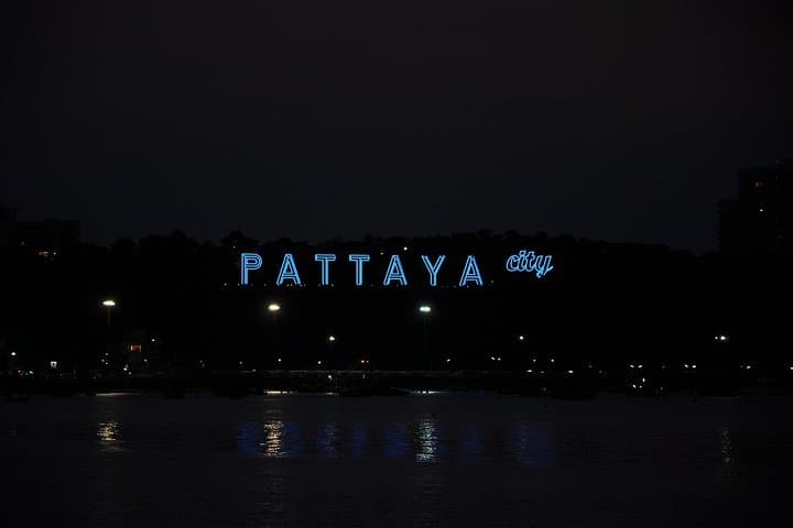 Explore Million Years Stone Park & Pattaya Crocodile Farm: Crocodile Shows, Petrified Trees, and Tram Tours