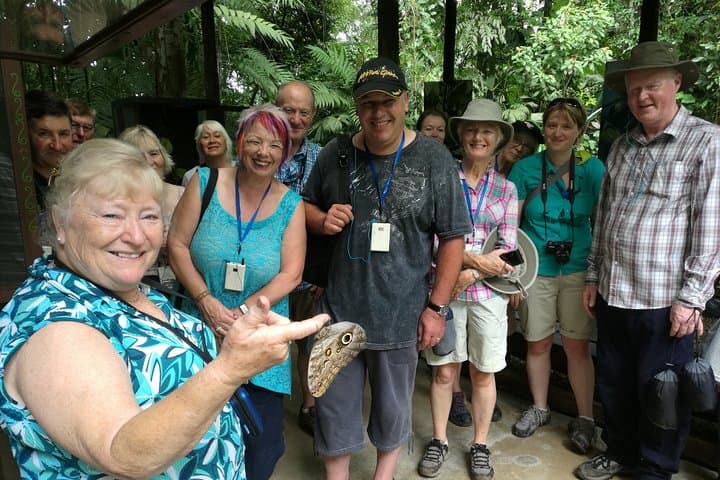 Ecocentro Danaus: Self-Guided Butterfly Garden Day Pass in La Fortuna photo 2