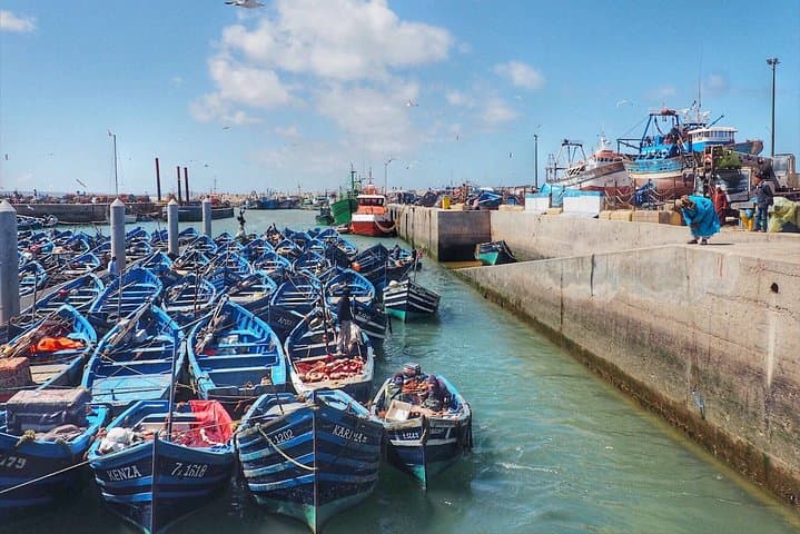 Essaouira Day Trip from Marrakech: Atlantic Port, Medina & Beach Camels photo 4