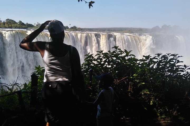 Victoria Falls Guided Tour with Pickup: Half-Day Falls, Baobab & Lookout Café