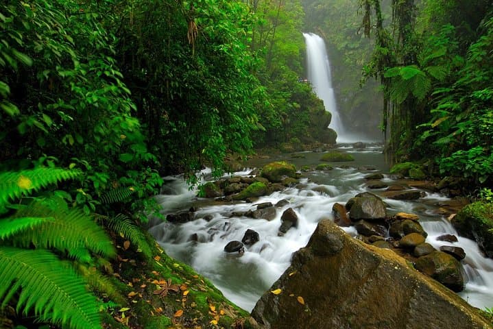 Costa Rica Highlights 8-Day Adventure: Tortuguero, Arenal & Nicoya Coast