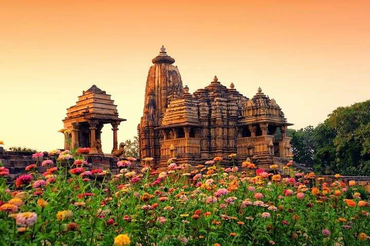 On The Tiger Trail: 16-Night Madhya Pradesh Tiger Safari photo 4