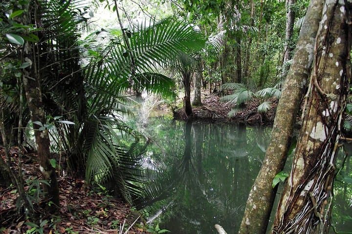 Monte Plata Rainforest Waterfalls: Private 7-Hour Eco Tour from Santo Domingo photo 6
