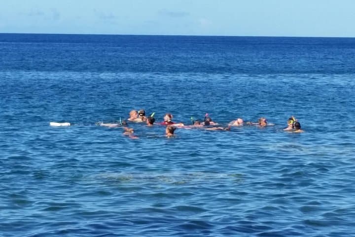 Dominica Private Snorkeling & Beach Day — Champagne Reef, Scotts Head & Secret Bay photo 3