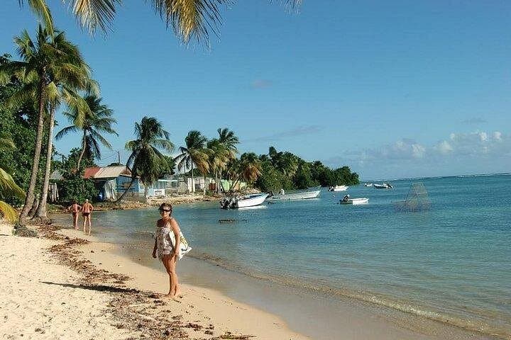 Dominica Private Snorkeling & Beach Day — Champagne Reef, Scotts Head & Secret Bay photo 4