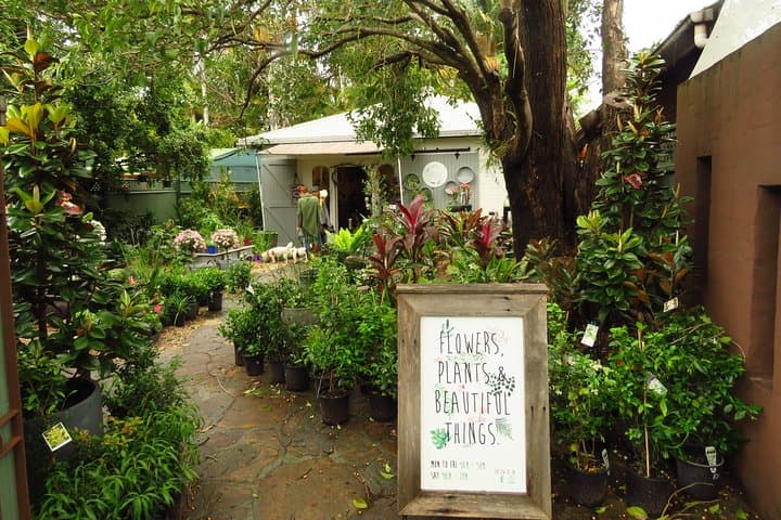 Beyond Byron Hinterland Tour — Minyon Falls, Crystal Castle & Coastal Villages