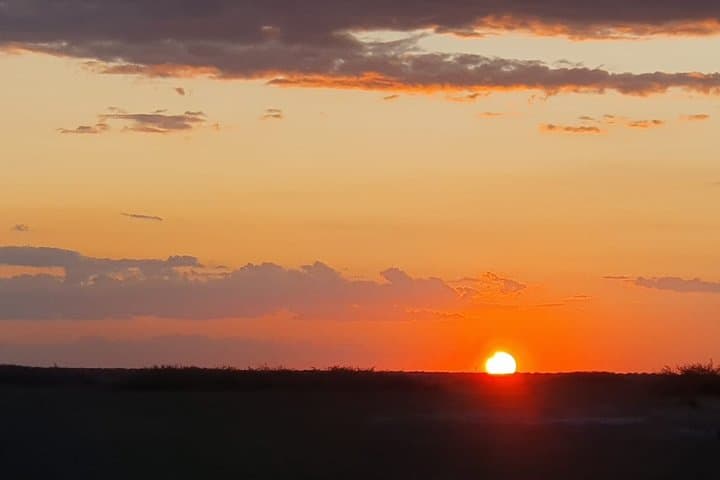 3-Day Moremi Camping Safari — Khwai & Okavango Delta Wildlife Immersion photo 3
