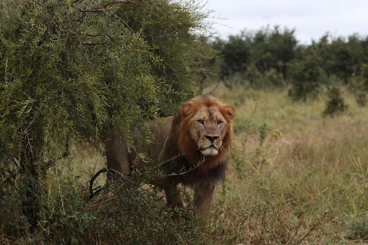 3-Day Mokoro Camping Safari on Boro Island — Okavango Delta Experience photo 5