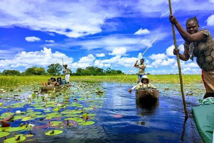 3-Day Mokoro Camping Safari on Boro Island — Okavango Delta Experience
