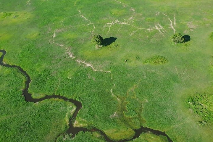 3-Day Mokoro Camping Safari on Boro Island — Okavango Delta Experience photo 3