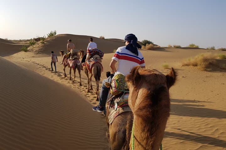 Overnight Thar Desert Safari from Jaisalmer: Camel Trek, Dune Camp & Starry Night