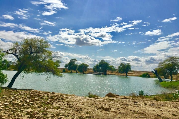 Overnight Thar Desert Safari from Jaisalmer: Camel Trek, Dune Camp & Starry Night photo 3
