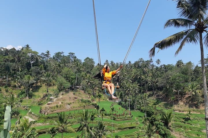 Ubud Swing, Tegalalang Rice Terrace & Water Temple Day Tour