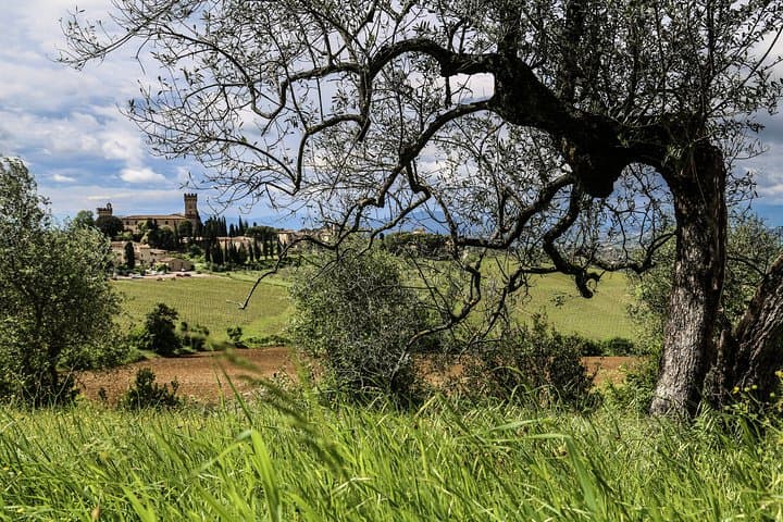 Best of Chianti Classico E‑Bike Tour: Greve, Panzano & Vineyards photo 1