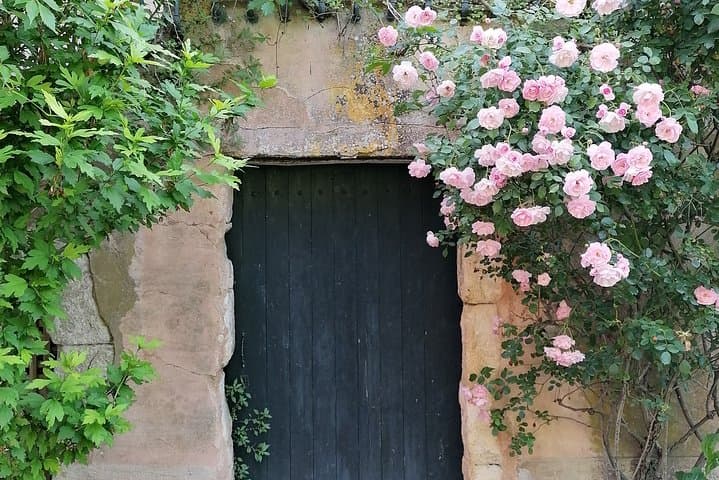 Explore the Luberon: Private Full-Day Villages Tour From Avignon photo 2