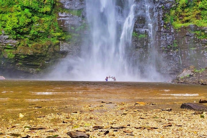 Private 2-Day Wli Waterfalls & Tafi-Atome Monkey Sanctuary — Eastern Ghana Adventure photo 3