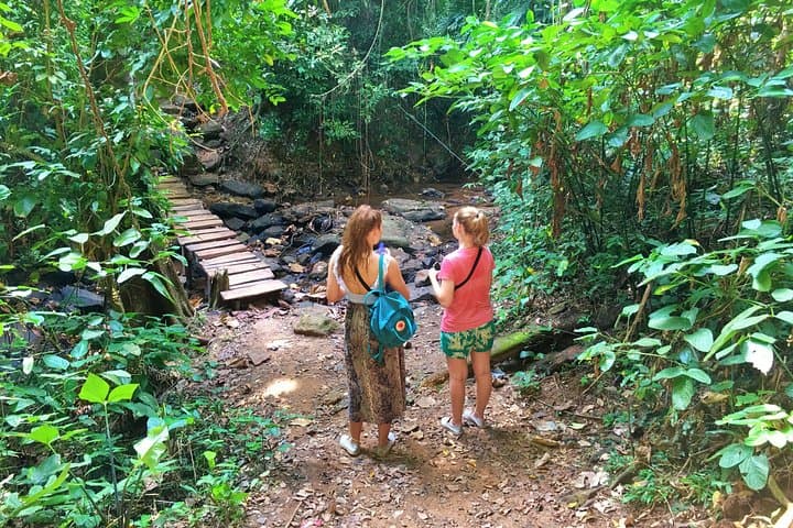 Private 2-Day Wli Waterfalls & Tafi-Atome Monkey Sanctuary — Eastern Ghana Adventure photo 6