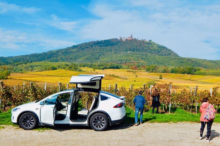 Half-Day Alsace Private Tour: Castles, Medieval Villages & Wine Tasting from Strasbourg photo 1