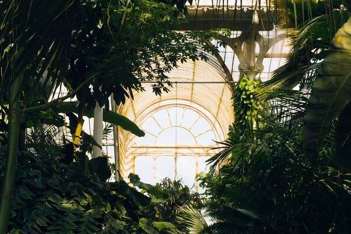 Kew Gardens Self-Guided Audio Tour — Explore Richmond's Royal Botanical Collection