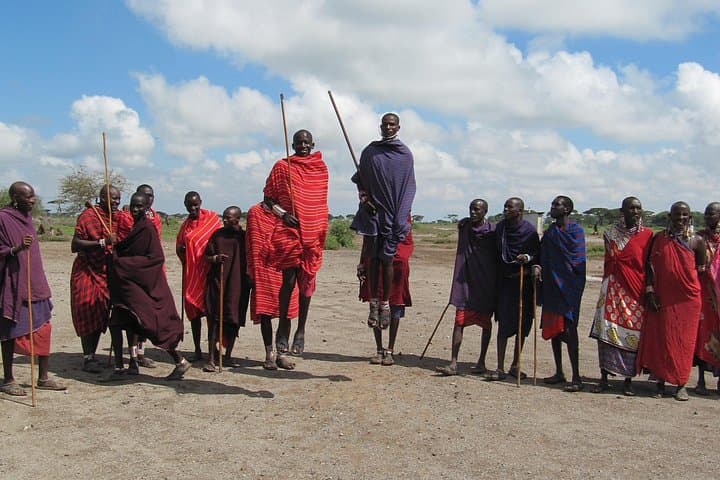 6-Day Amboseli, Tsavo & Diani Safari: Elephants, Lava Plains & Indian Ocean photo 3