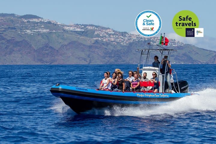 Funchal Sea Safari: High-Speed Dolphin, Whale & Turtle Watching