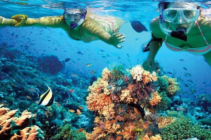Catamaran to Isla Mujeres: Snorkel the Mesoamerican Reef from Cancún photo 6
