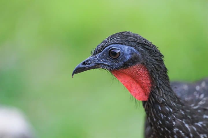 3-Day Pacaya-Samiria Camping Adventure: Amazon Boat, Canoe & Wildlife photo 2