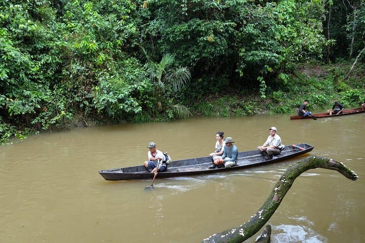 5-Day Pacaya-Samiria Amazon Wildlife Camping Tour from Iquitos photo 3