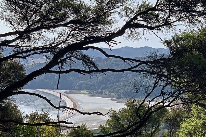 Waiheke Island Te Ara Hura: 5-Day Private Walk from Onetangi