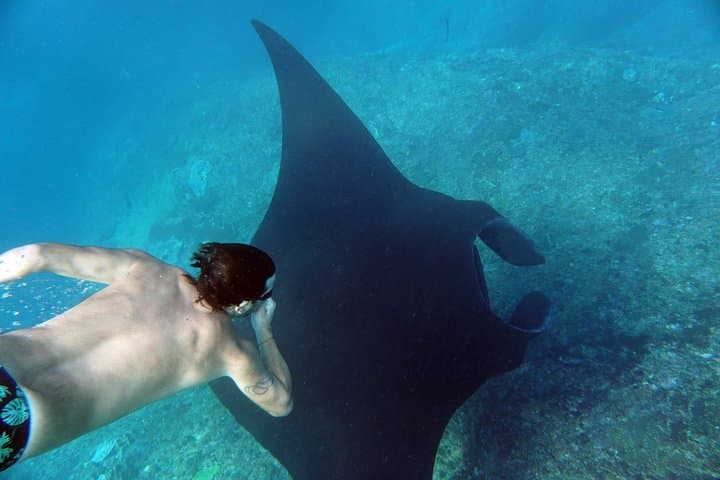 Snorkelling with Manta Rays at Nusa Penida and Lembongan — Day Trip from Sanur photo 6