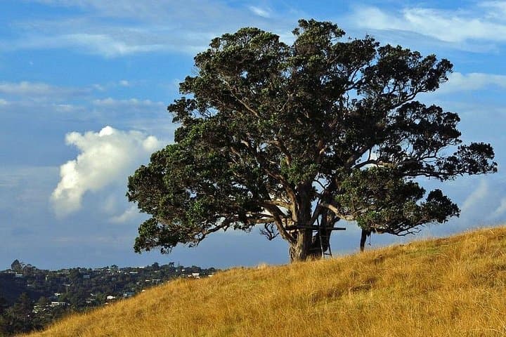 Best of Waiheke Island: Private Guided 4-Day Waiheke Escape photo 2