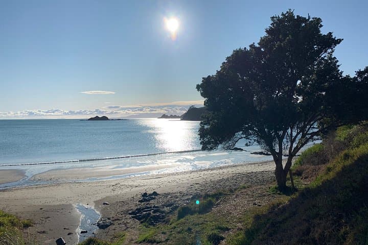 Best of Waiheke Island: Private Guided 4-Day Waiheke Escape photo 3
